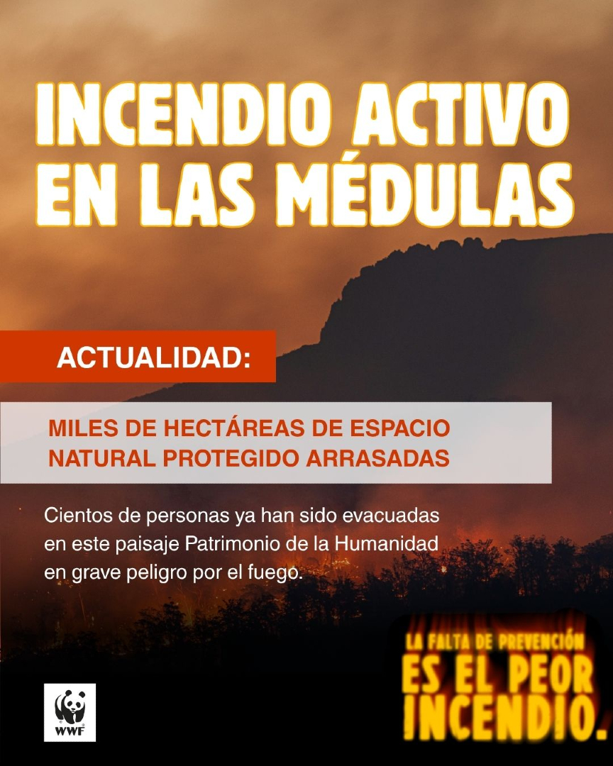 WWFespana's tweet photo. 🚨🔥 ¡INCENDIO EN LAS MÉDULAS (LEÓN)! 

Más de 2.000 has arrasadas por el fuego en un paisaje Patrimonio de la Humanidad y casi 800 personas evacuadas.  

Una emergencia que subraya la urgencia de una nueva estrategia frente a unos incendios forestales cada vez más agresivos #stopincendios #lasmedulas