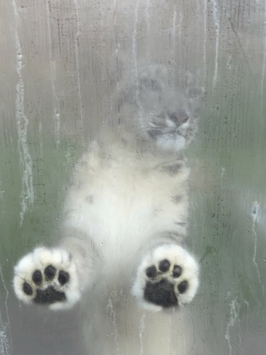 Excellent. I have trapped the creature in a cloud