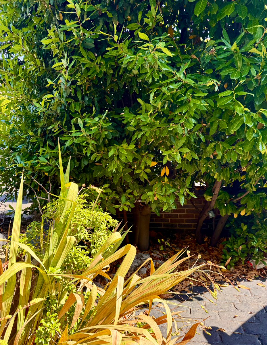 The weather is beautiful but there is always a risk of flooding with a sudden downpour especially when the ground is hard.

Our teams continue their work of clearing drains across the borough to reduce any impact. 

We can help by ensuring our driveways have planted areas.