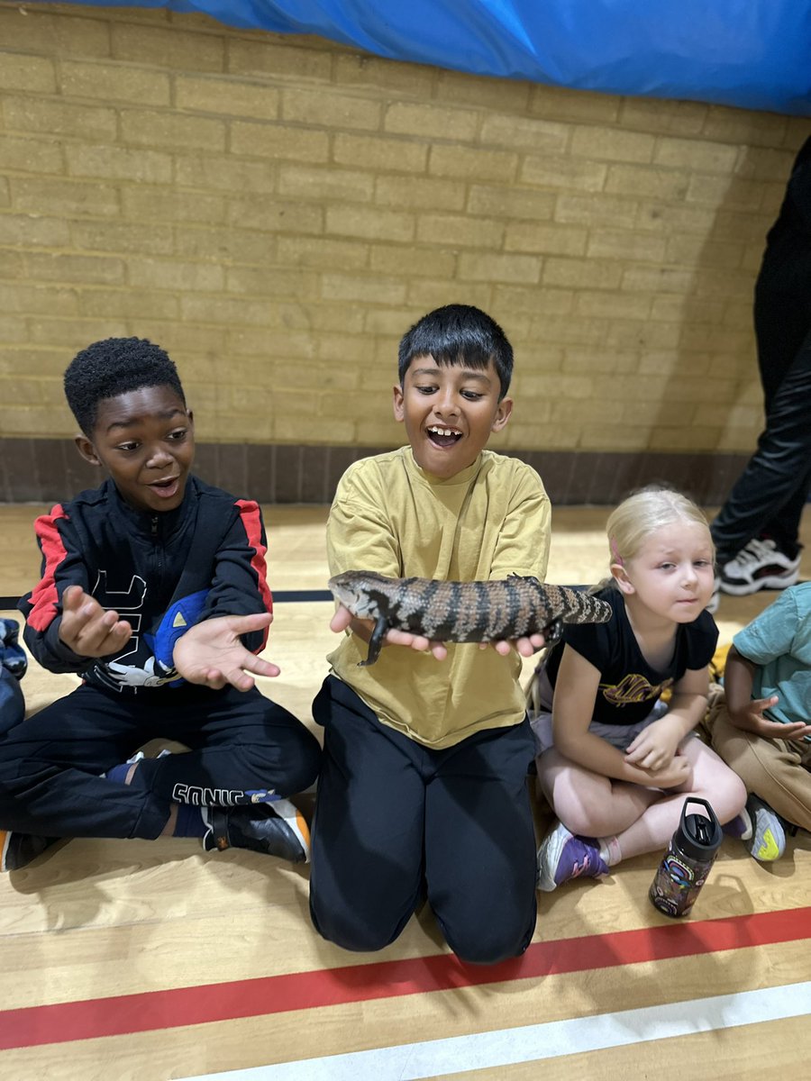 Not Just Sport tweet media