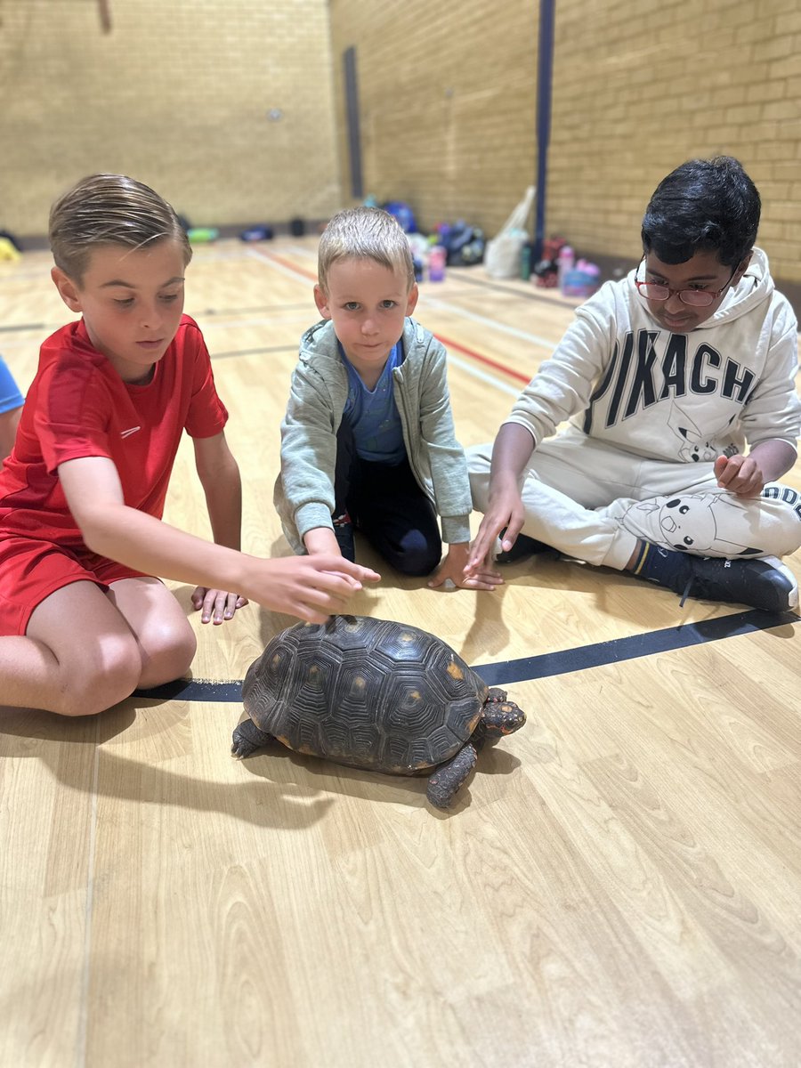 Not Just Sport tweet media