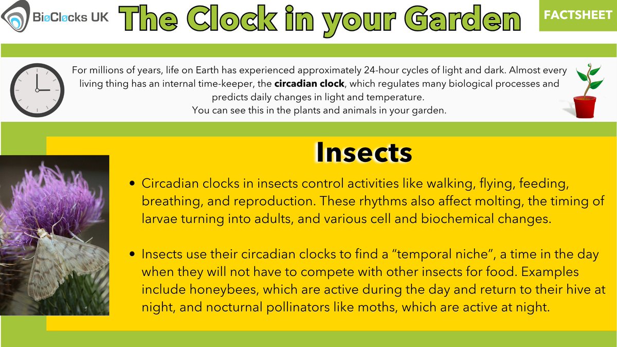 BioClocksUK tweet media