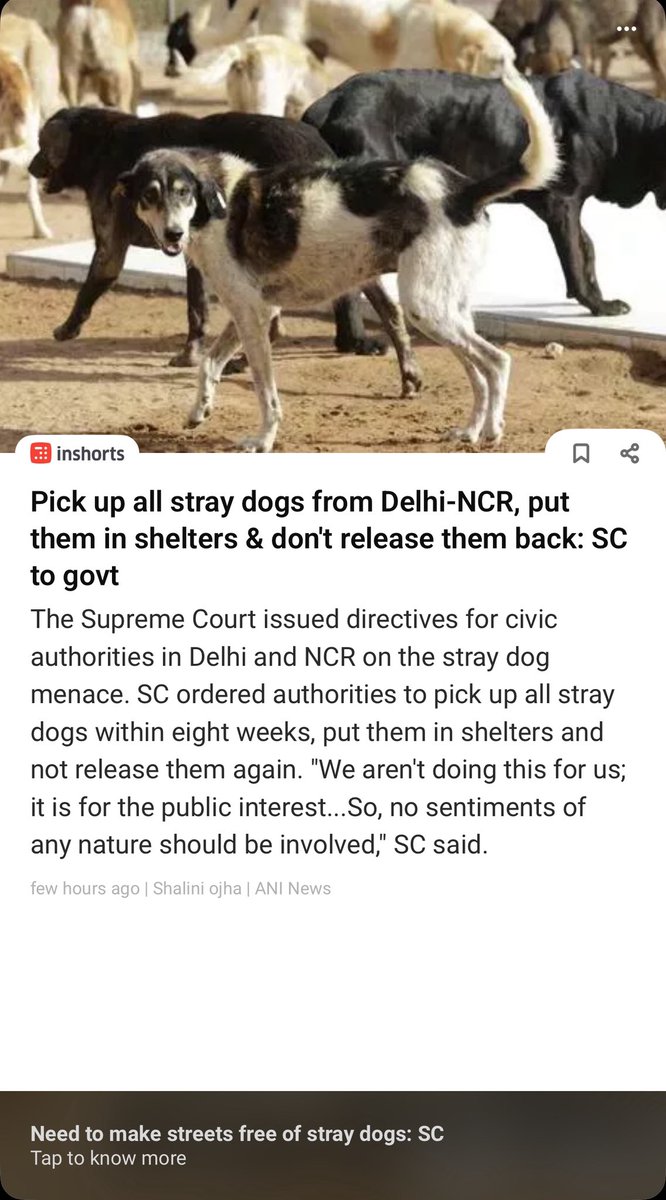 Rishabh_eth's tweet photo. In our culture, they’re sacred and are companions of Lord Bhairav. But now, after the SC’s stray dog judgement, their future looks uncertain. I doubt if they’re gonna get food, care or even be allowed to live?

I hope it’s not too late🙏🏻

#straydogs #SC #protectstreetdogs https://t.co/n1x2NbpyLv