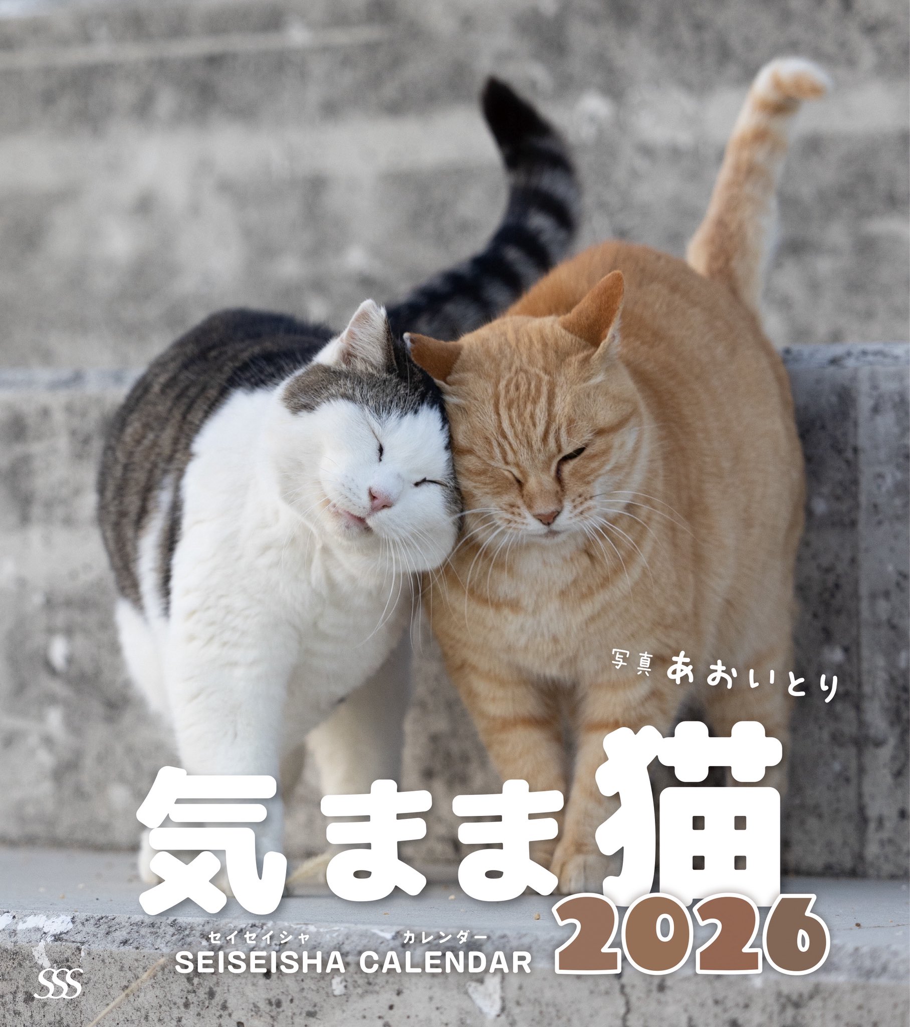 あおいねこ 61RuVyfJ1dL.jpg
