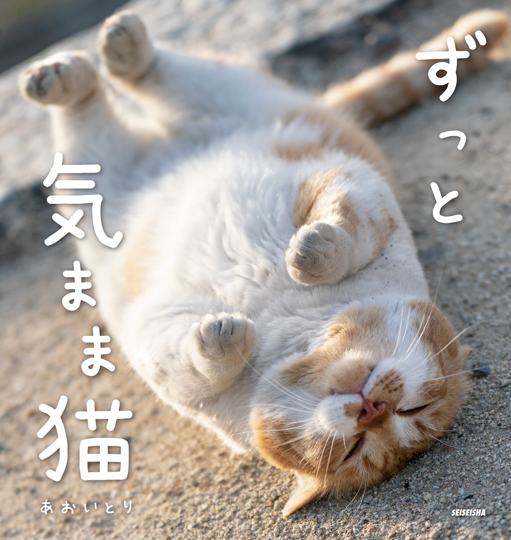 青猫様 リクエスト 2点 まとめ商品 ねこねこα様 リクエスト 2点 まとめ商品 - メルカリ