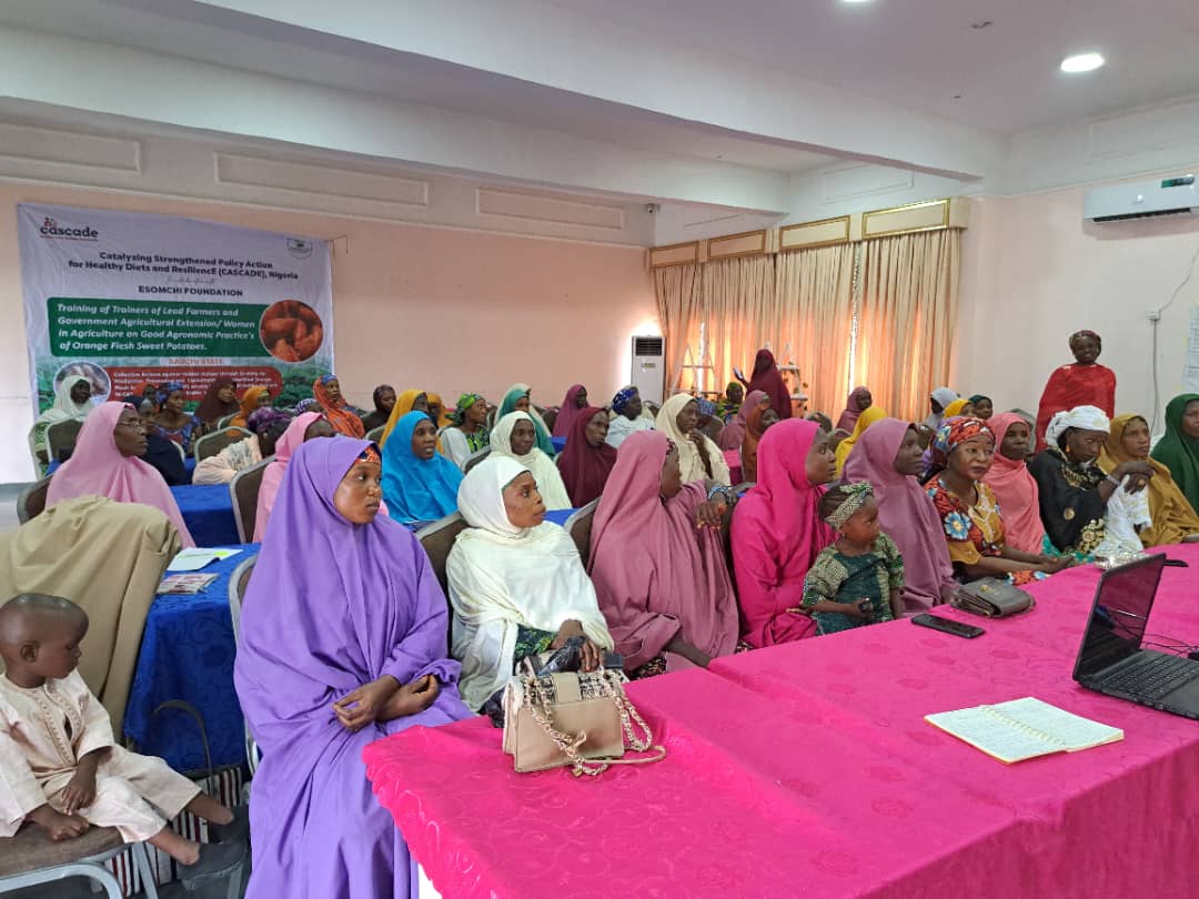 EsomchiF's tweet photo. 🍠 From Vines to Vitality!
In Bauchi, women lead farmers, extension officers &amp; women in ag came together to master Good Agronomic Practices for Orange-Fleshed Sweet Potato (OFSP) 🌱 under the #CASCADEProject.
#WomenInAg #Bauchi #OFSP https://t.co/gQelz8AmQf