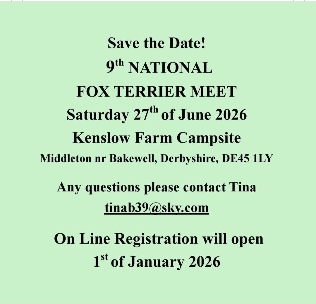 Next year's National Fox Terrier Meet! 🐾

<a href="/NationalFox/">National Fox Terrier Meet</a>