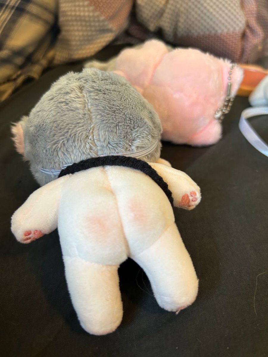 blush sampe bumbum