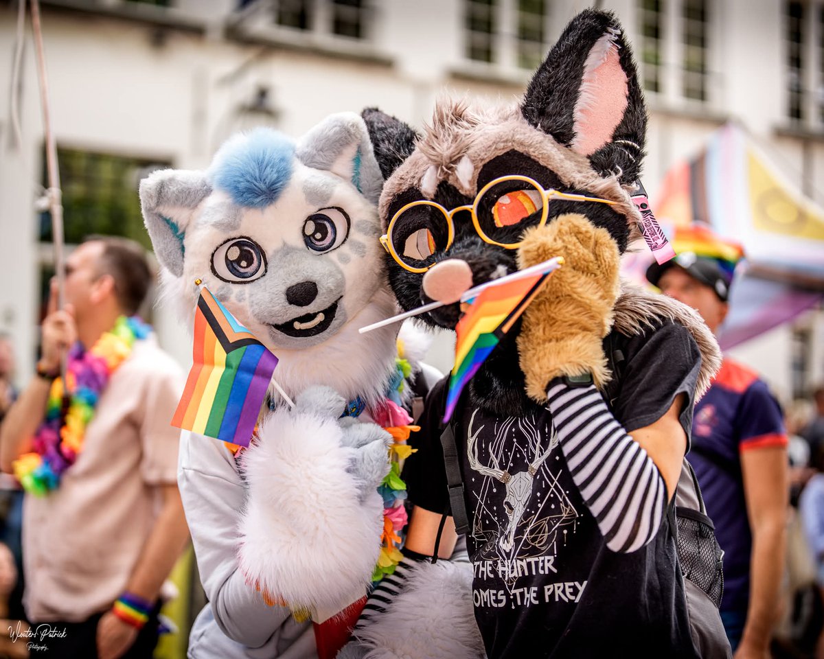 Woxy in a boxy 📦😺 - renovating 🏚️➡️🏠 tweet media