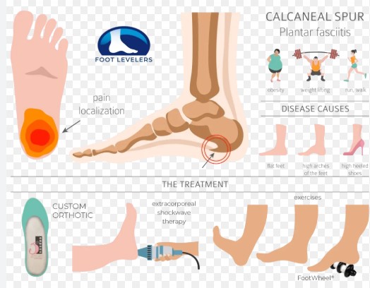 Freehold Pain Relief tweet media