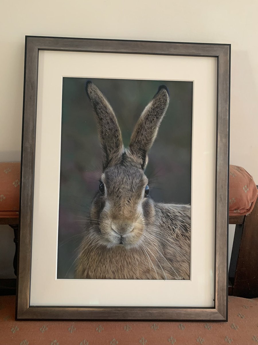 Vicki Jeffreys and Odi (@dbracinguk) on Twitter photo .<a href="/Paulmillerart/">Paul Miller</a> Thank you so much Paul. My boyfriend loved this wonderful drawing you done. So talented ❤️❤️ .<a href="/Paulmillerart/">Paul Miller</a> Thank you so much Paul. My boyfriend loved this wonderful drawing you done. So talented ❤️❤️