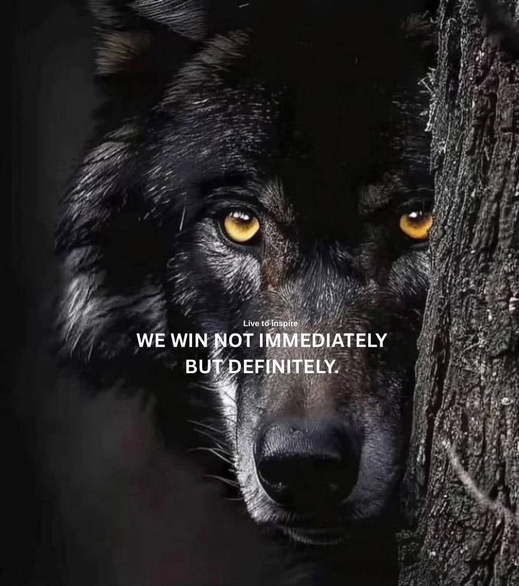 Max (@maxkilonzo) on Twitter photo 