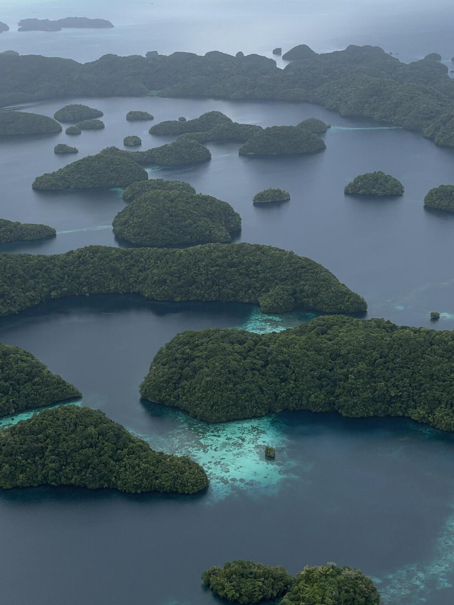 夢の中で到達できるところへは、いつか到達できると信じてください。