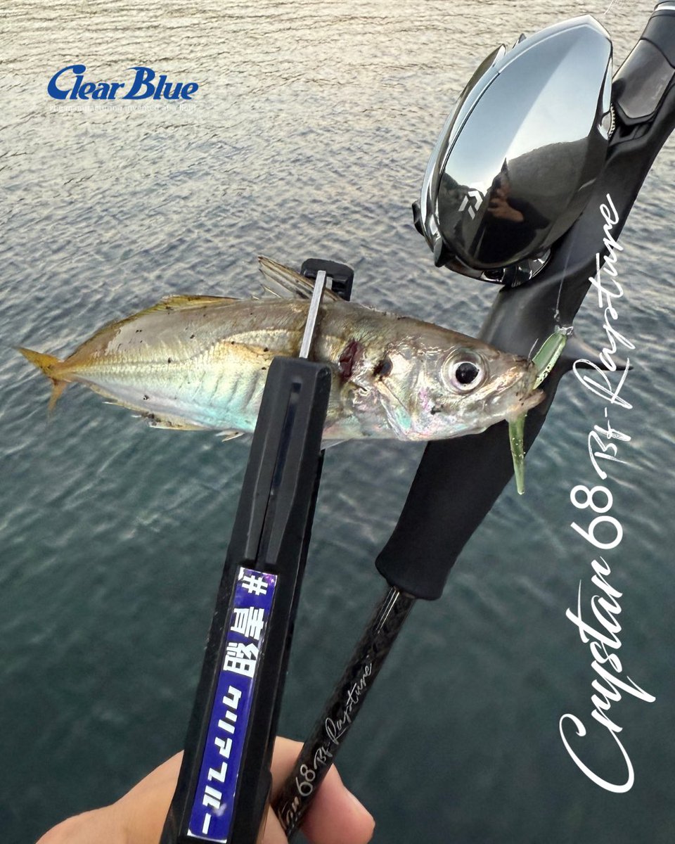 ▶︎▶︎最高‼️ ［Crystar68BF-Rapture］ 鯵を掛けてからの引きが最高