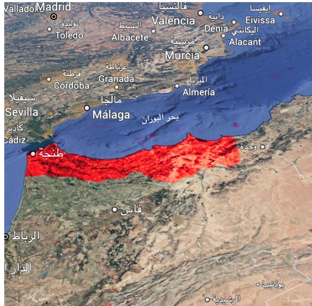 ᗩDLOVIČ tweet media