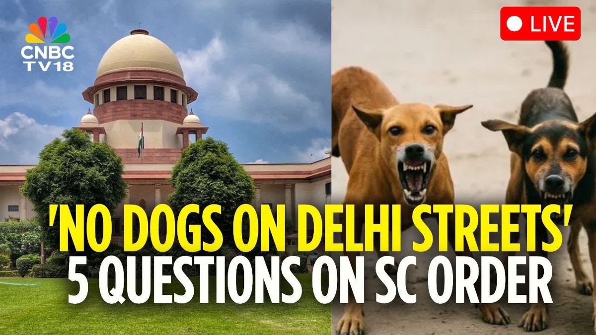 The #SupremeCourt issues sweeping directions to round up all #straydogs from Delhi in dog shelters and pounds, saying it wants the national capital to be free of stray dogs. 

The apex court also directed that dogs be detained in pounds and shelters with CCTV to ensure that no