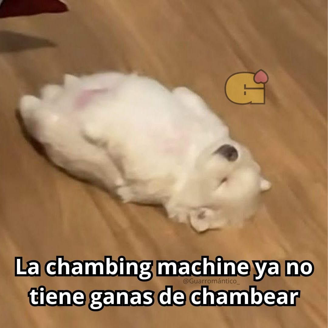 Quien me quiere mantener? Cocino rico