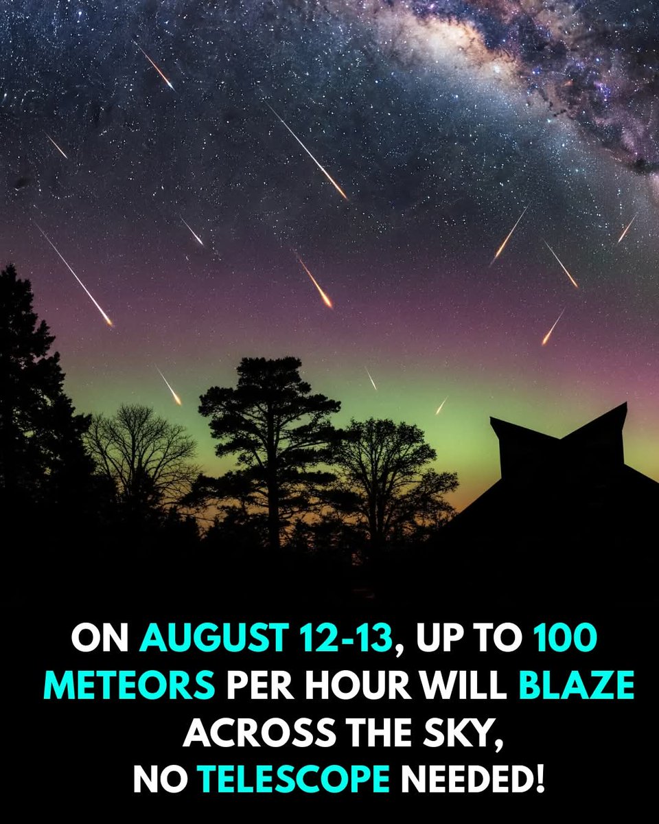 amazing_physics's tweet image. Skywatchers, mark your calendars!

On the nights of August 12 and 13, the sky will come alive with one of the year’s most dazzling displays—the Perseid meteor shower.

At its peak, you could witness up to 100 meteors per hour, streaking across the night like nature’s own…