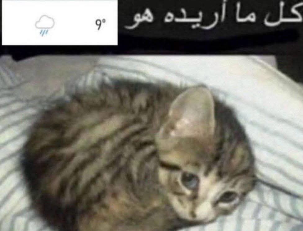 سراج مهمه 𓂆 (@mariameleenin) on Twitter photo 