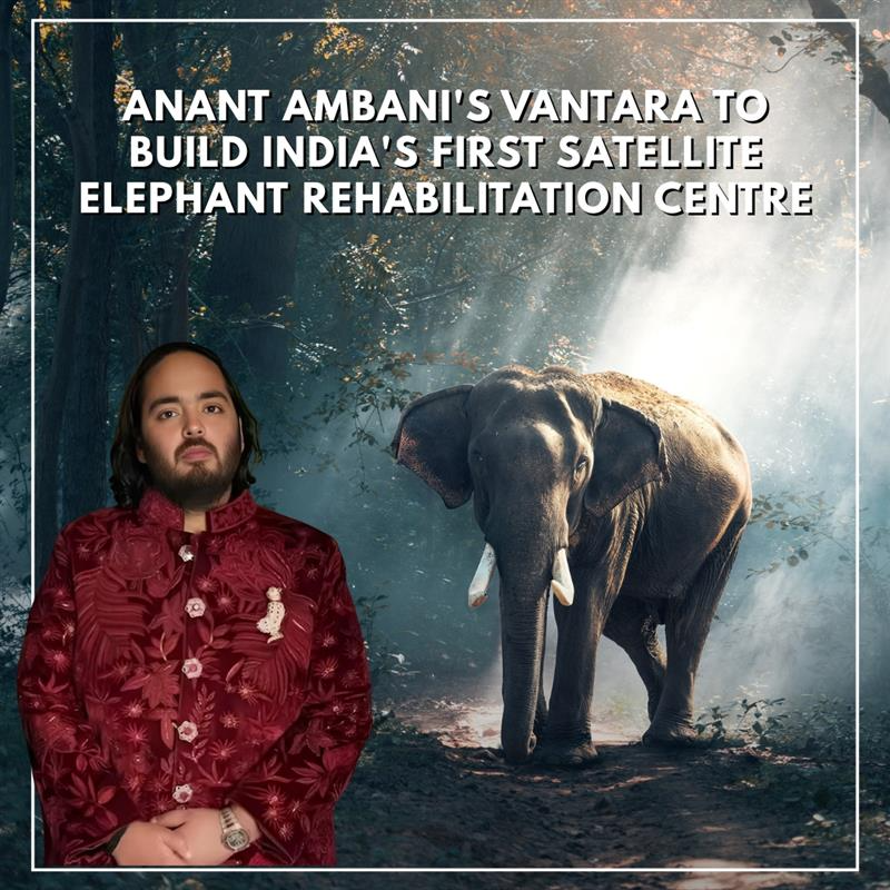 Anant Ambani’s Vantara is setting a new benchmark in wildlife care with India’s first satellite elephant rehabilitation centre in Kolhapur for Mahadevi🐘

This initiative is a powerful blend of compassion, heritage, and purpose.

#Vantara #AnantAmbani #Rehabilitation #Wildlife