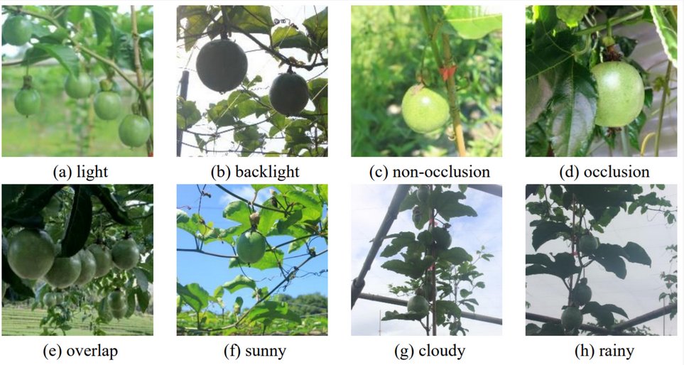 Sensors_MDPI's tweet image. A Lightweight and High-Precision Passion Fruit YOLO Detection Model for Deployment in Embedded Devices
mdpi.com/1424-8220/24/1…
#passion_fruit_detection #lightweight