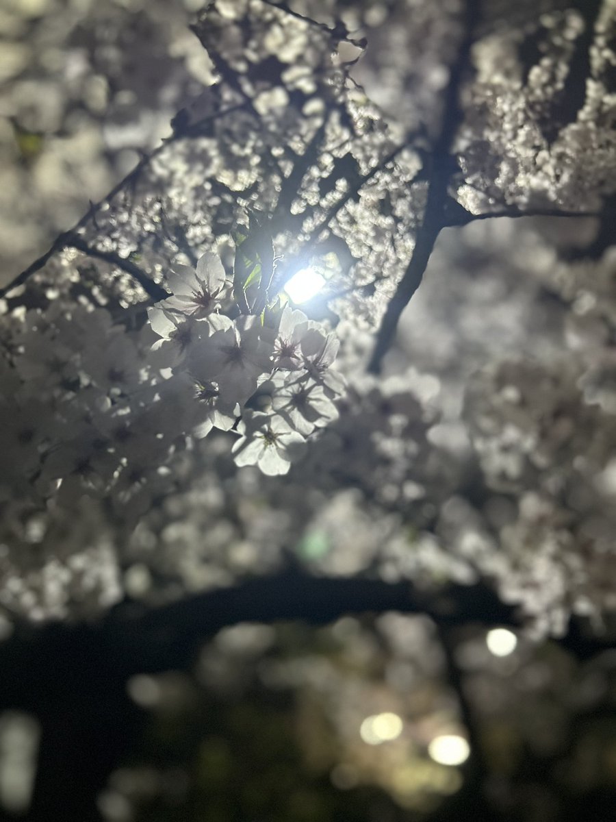 靴下の左右色違くて失敗、います

pokerguild.jp/?date=today&ve…
 #名古屋 #ポーカー