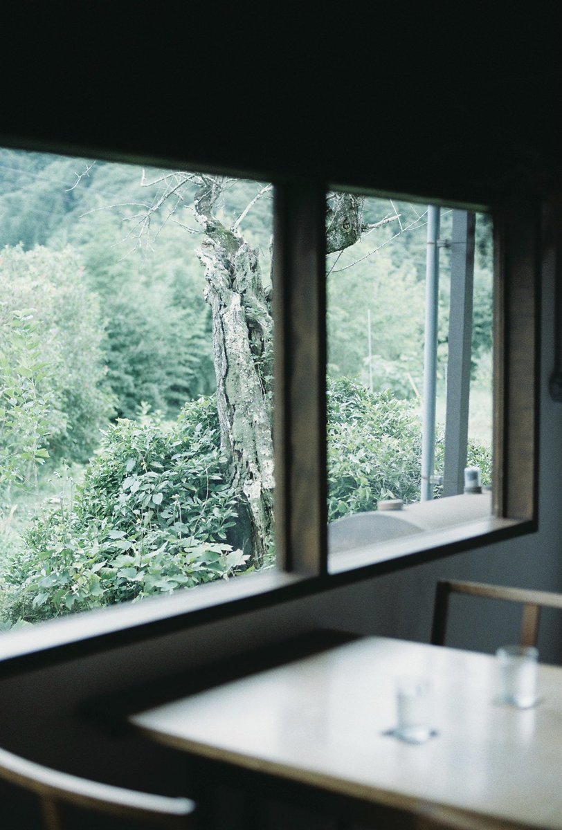 t (@friendleaf__) on Twitter photo 