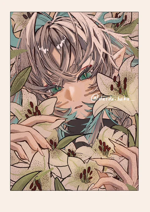 百合の花 