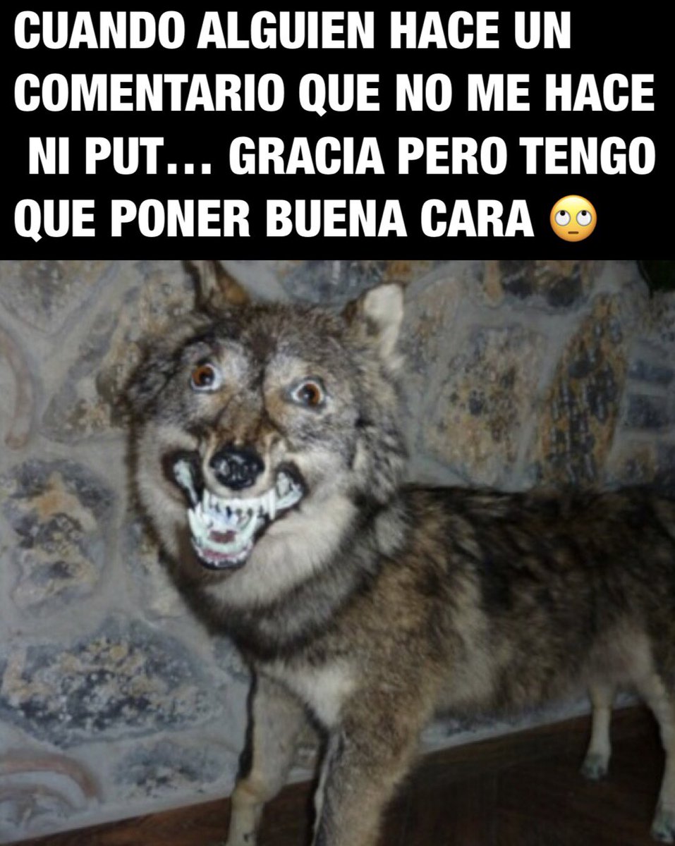 memecuac's tweet photo. https://t.co/WmsIDVDKPM
