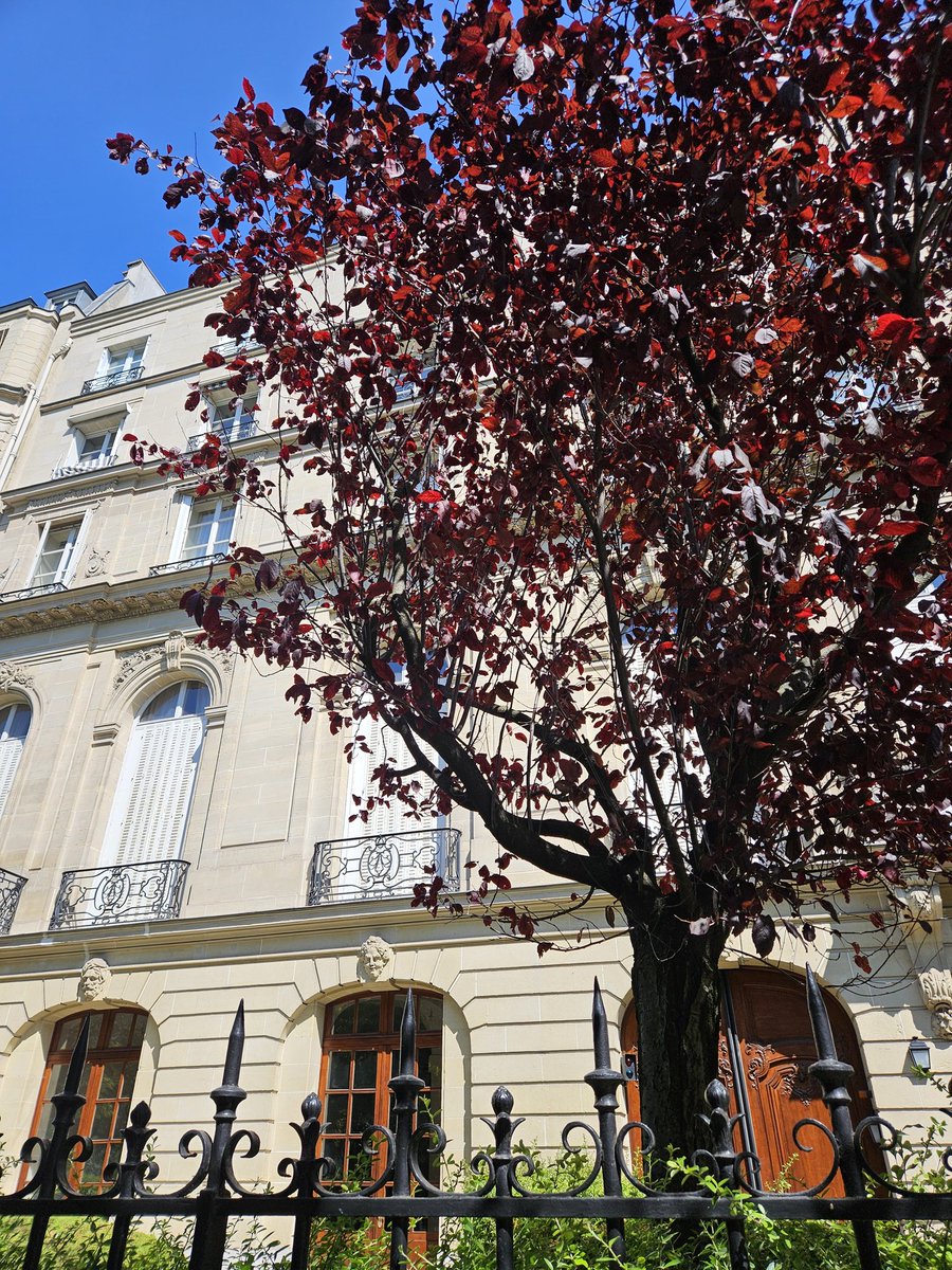 Avenue Georges Mandel