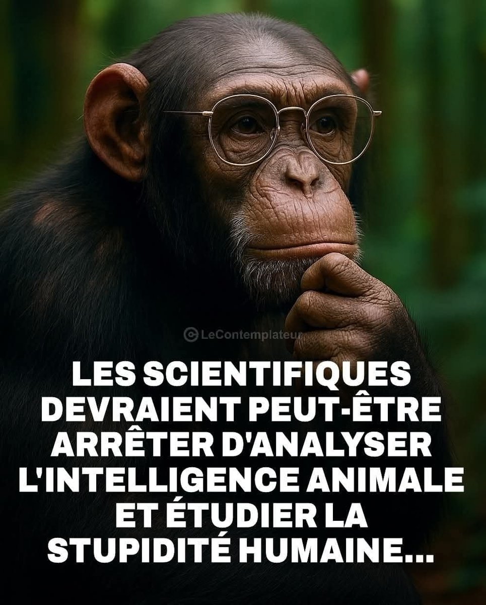 Sas_Ssrc's tweet photo. @Brevesdepresse https://t.co/DOzGjxtNx8