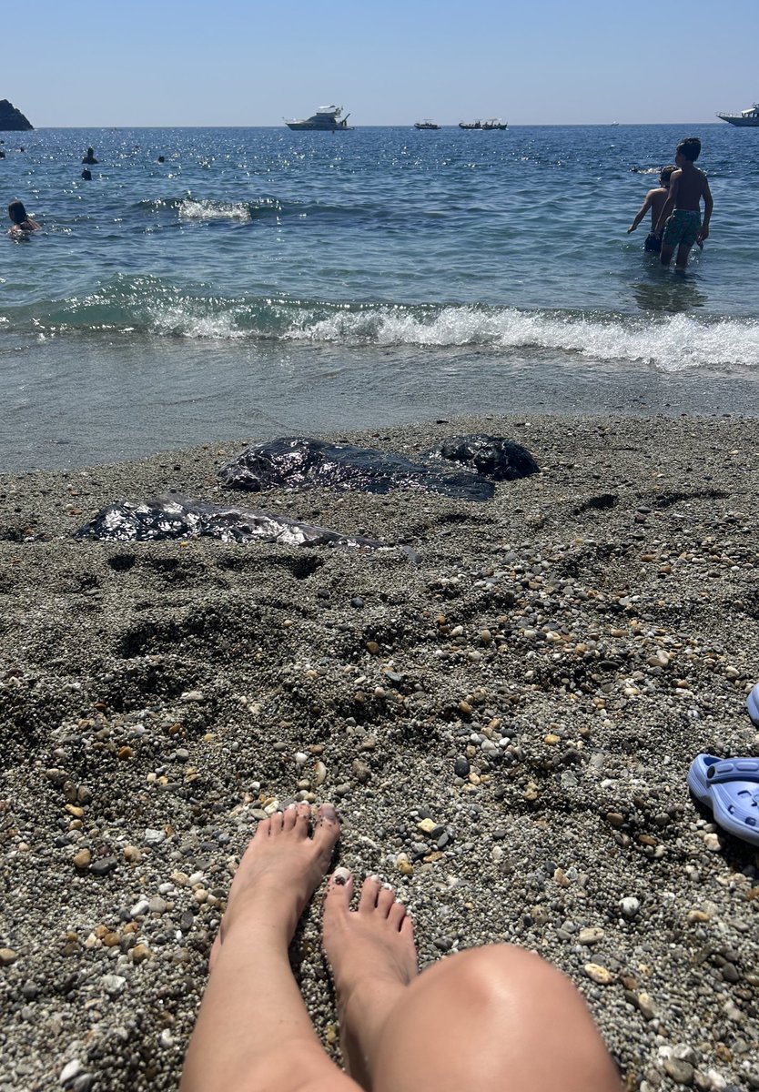 BabyL98's tweet photo. Chi vuole massaggiare i miei piedini?
#feet #feetworshi̇p #findom https://t.co/zU7ZNzvwdm