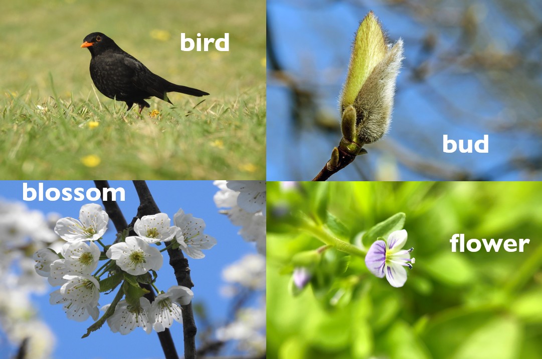 Nature words in books have declined by 60% since 1800 and a model simulating over 200 years of human–nature relationships in an increasingly urban world accurately mirrors that decline.

What happens when it runs through to 2125?

My latest research: findingnature.org.uk/2025/08/11/mod…