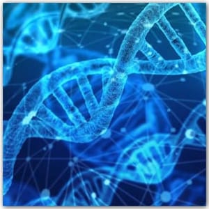 🧬 DNA Special Interest Group (October) – Sat 04 Oct, 14:30–16:30
Join Debbie Kennett for DNA tips, Q&amp;A &amp; advice to get more from your matches in a friendly group setting.
berksfhs.org/events/dna-spe…