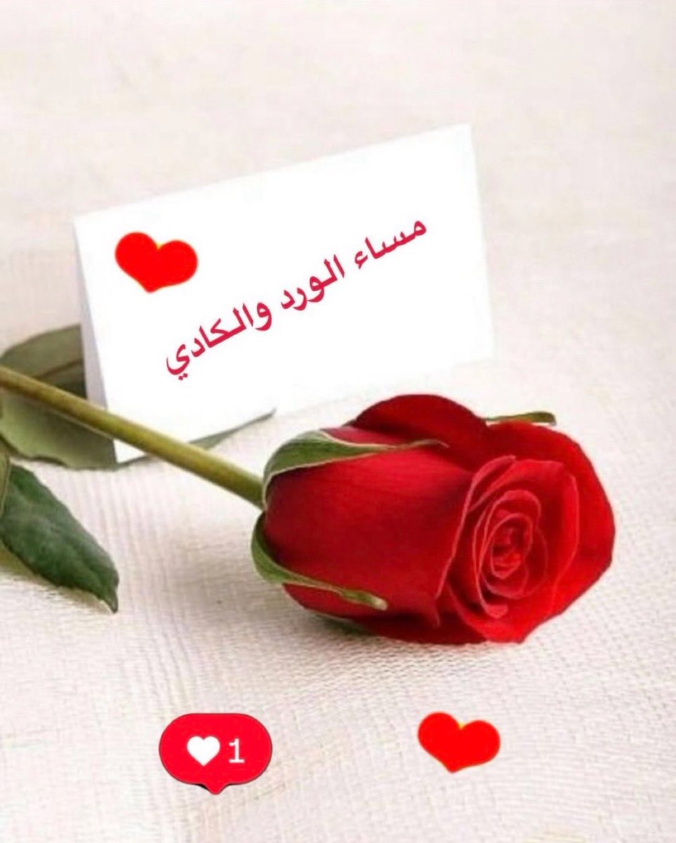 لراحة البال تحتاج إلى الصمت ، والكثير من التغافل والتأمل والبعد عن كل ما يزعجك ، وتذكر دائماً أن راحة البال أعظم النعم ، فمن وجدها امتلك مفاتيح الحياة كلها ..✍🏻*

#مساء_الخير