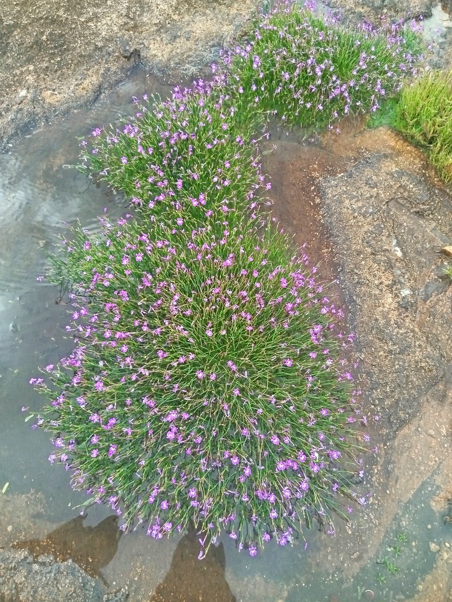 We're one with Nature.
Connect, learn and be inspired!

“The richness I achieve comes from Nature, the source of my inspiration.” – Claude Monet
#experiencenature
#NatureBeauty