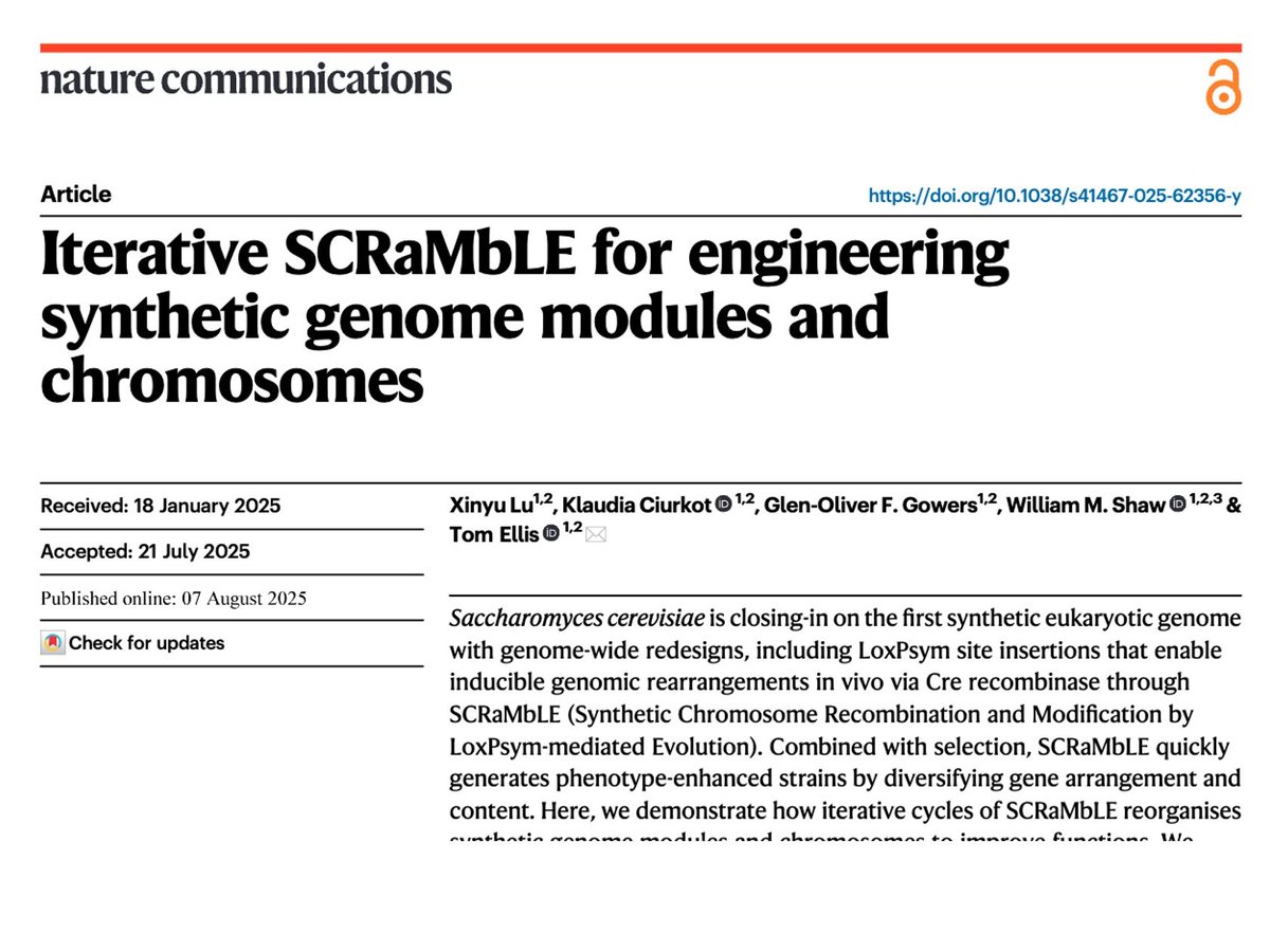 Tom Ellis (@proftomellis) on Twitter photo New paper from our lab on synthetic genome work in yeast is out - Iterative SCRaMbLE for Engineering Synthetic Genome Modules and Chromosomes. Exciting project led by Jane (Xinyu) Lu in our group, now online <a href="/NatureComms/">Nature Communications</a> nature.com/articles/s4146… New paper from our lab on synthetic genome work in yeast is out - Iterative SCRaMbLE for Engineering Synthetic Genome Modules and Chromosomes. Exciting project led by Jane (Xinyu) Lu in our group, now online <a href="/NatureComms/">Nature Communications</a> nature.com/articles/s4146…