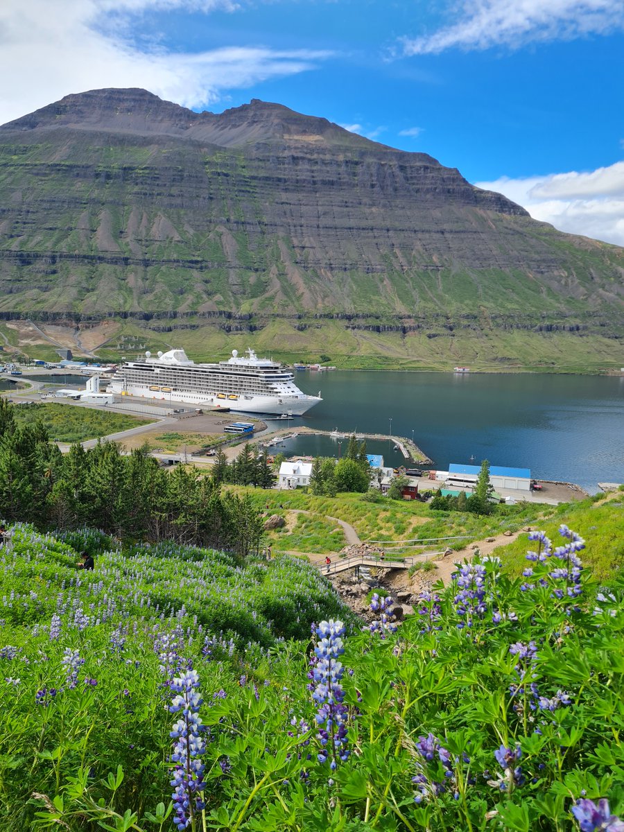 #SevenSeasGrandeur in the port of 📍 Seydisfjordur, Iceland. 

📸 Petra S. | #MyRegentExperience #UnrivaledAtSea #Iceland #LuxuryCruising