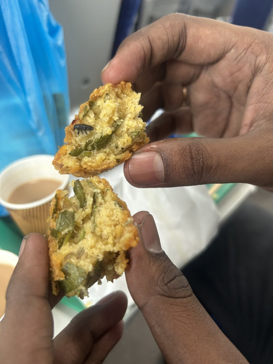 passion_vr's tweet photo. Travelling in  Vande Bharat (PNR 4843366977) from Kovilpatti to Chennai (11-8-2025) and this is the status of our vadai. Even though we had ordered food only after boarding the train did not expect a noon veg vadai. @RailMinIndia  @sureshpprabhu @GMSRailway @GM_CRly https://t.co/TO017je3yG