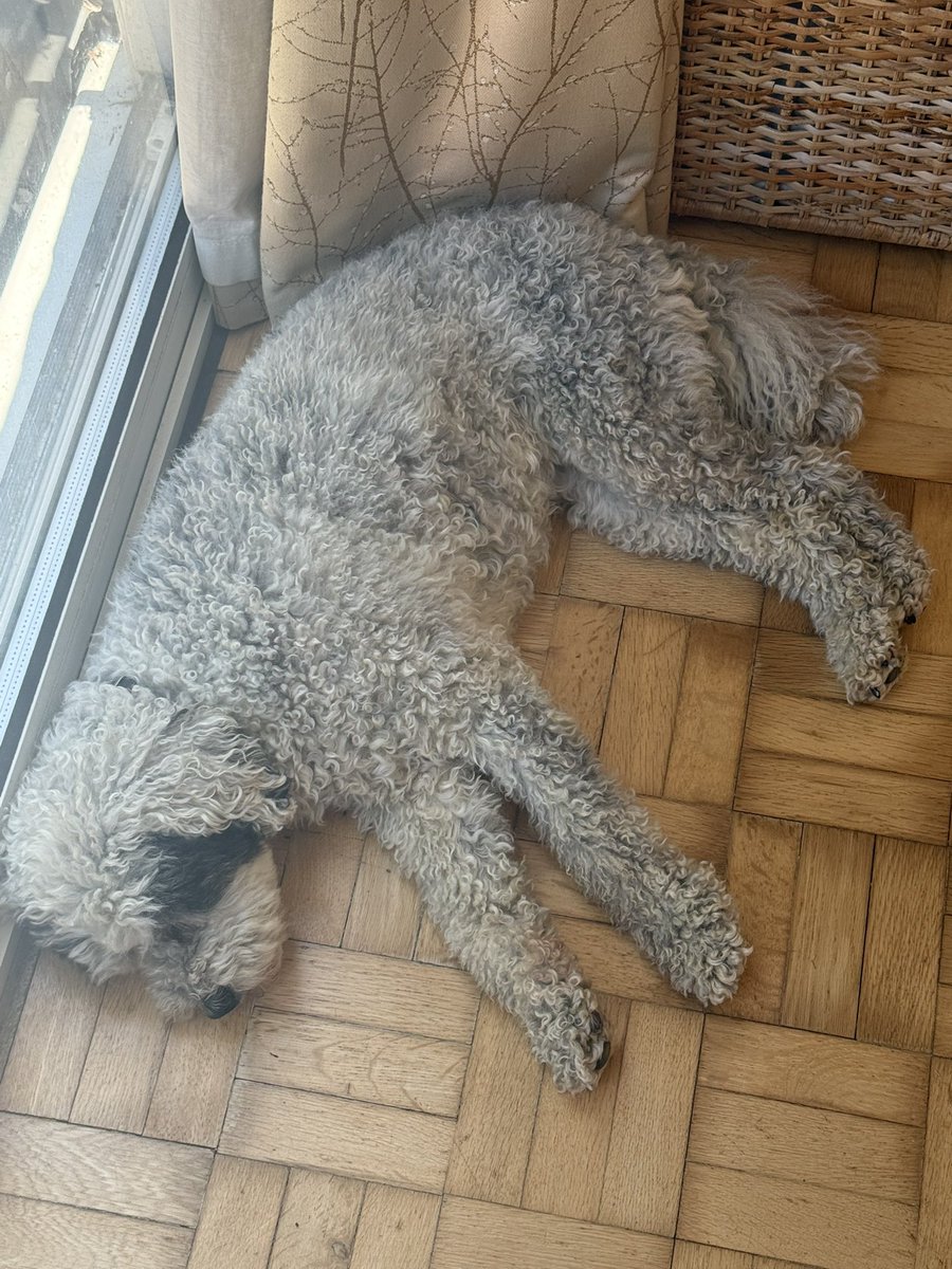 I think Clover likes Classic FM Calm