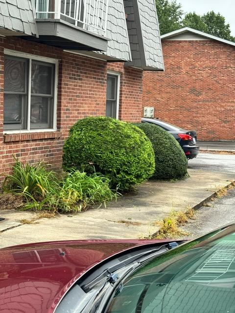 Criteslandscape's tweet image. At RC’s Landscaping, hedge trimming is all about transformation — and the results speak for themselves. Get your neighbors involved for community gardens or clean-up days. Together, we can create vibrant green spaces.  📞(828) 979-0792 #LawnCare #SustainableLiving #CommunityBoost