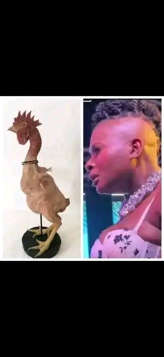 Tèt zile a pa swa menm!!!!!🤣🤣🤣