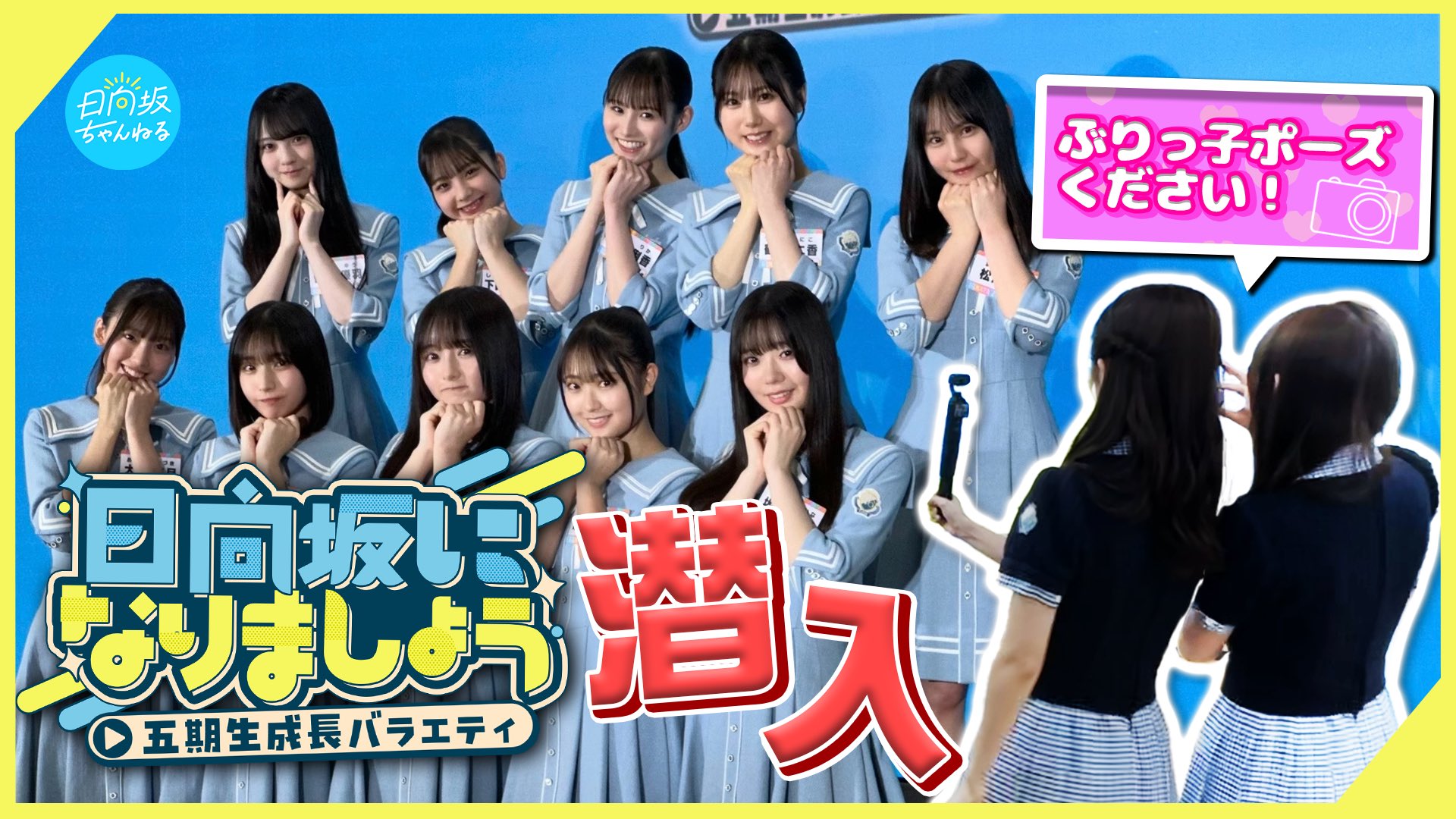 日向坂46 on X: 