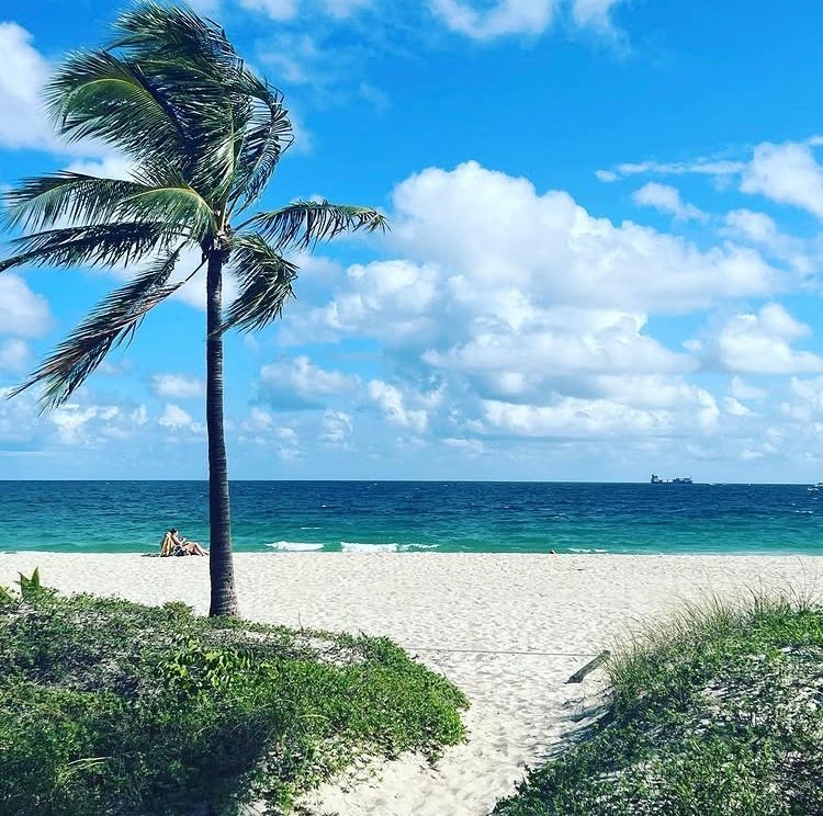 FtLauderdaleMag's tweet photo. Have a great week, Fort Lauderdale! π§‘
#goodmorning #fortlauderdale #morning #southflorida #florida #august #summer #beach #laudy #wakeup #ftlauderdale #backtoschool #lauderdale #broward #monday #mondaymotivation #oceanview #visitflorida #lauderdale #visitlauderdale #school https://t.co/JFYX5XyBZ6