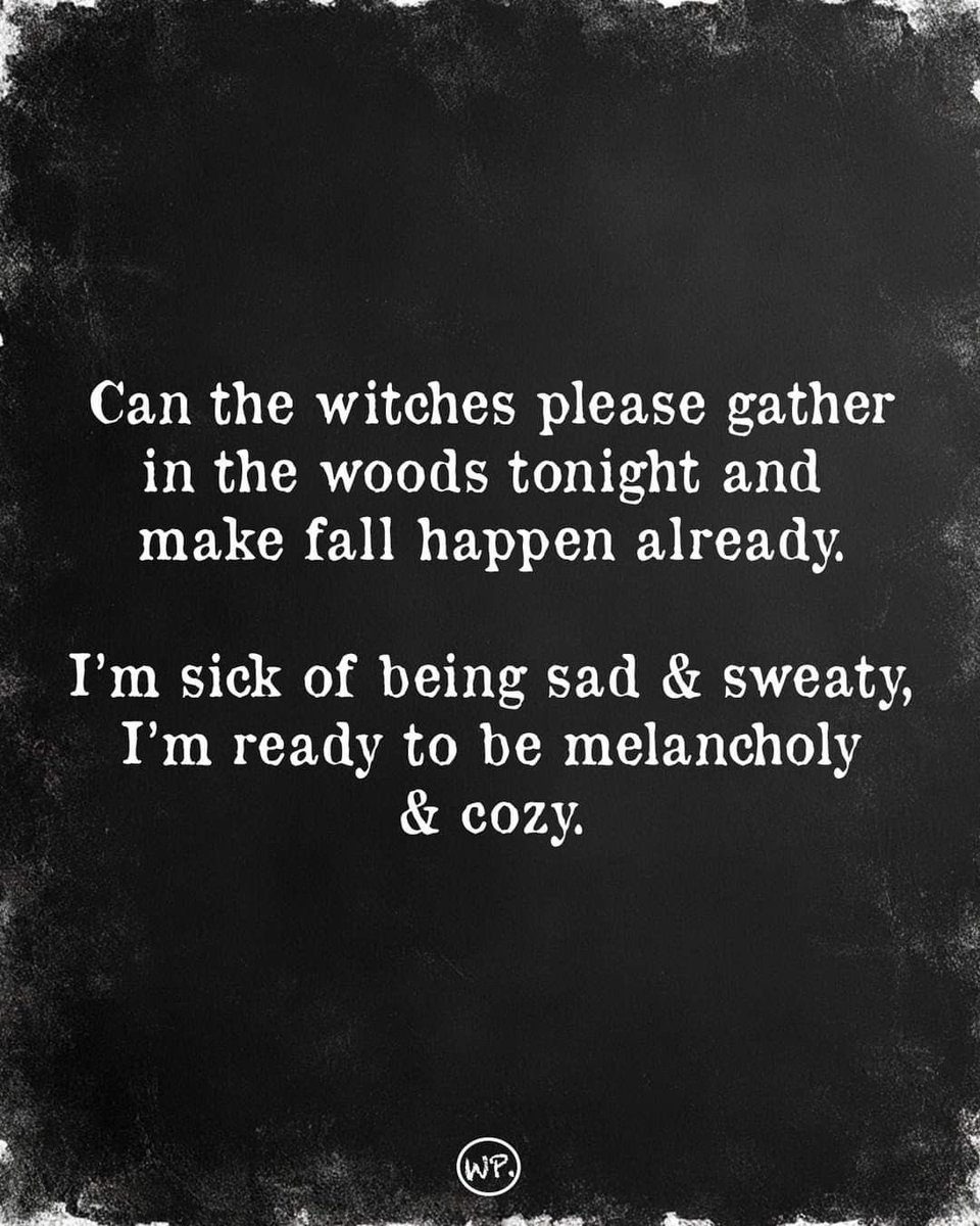 COZYVIBES tweet media