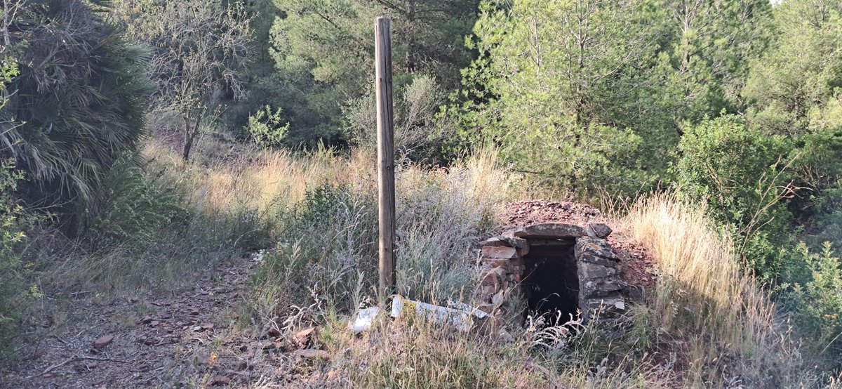 D'Escales, Cerverola i el Colom. Hui tocava una revisió dels trifinis entre Soneja, Fondeguilla i Sagunt i la Vall, Sagunt i Fondeguilla.