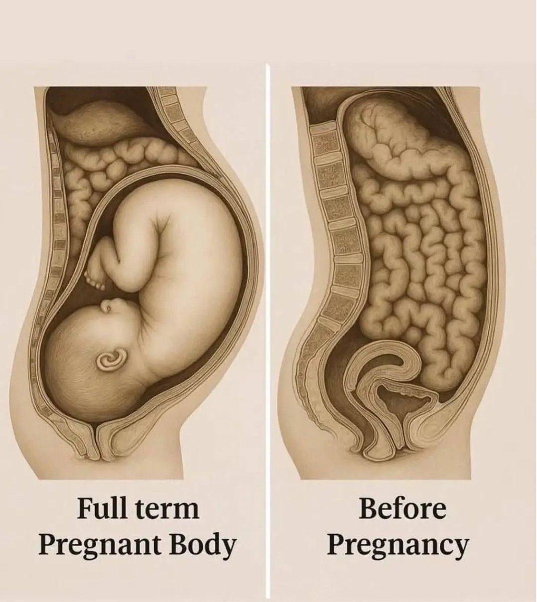 Querido señor trans, tiene usted la capacidad de hacer esto? No? Entonces no puede decir que es mujer.