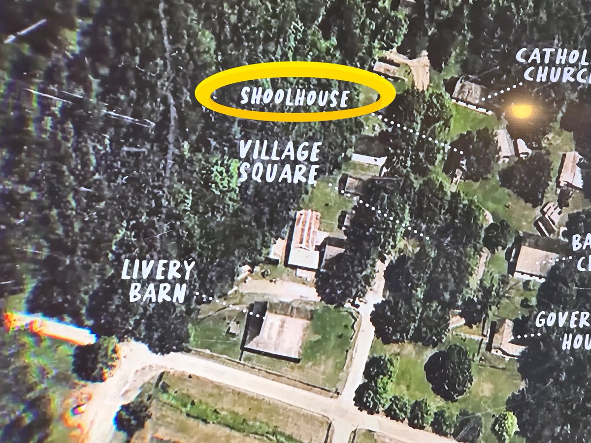 Ally K 🌸 tweet media