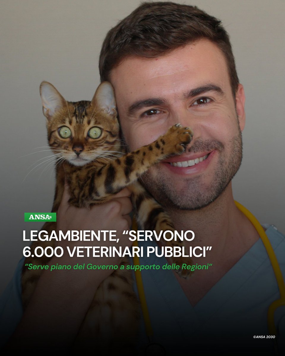 ANSA Ambiente & Energia (@ansa_ambiente) on Twitter photo Per <a href="/Legambiente/">Legambiente</a>, "è urgente rilanciare la sanità veterinaria pubblica di prossimità, obiettivo per cui chiediamo al Governo di realizzare un piano nazionale a supporto delle Regioni che consenta l'assunzione stabile di 6.000 #veterinari".
#ANSAAmbiente
➡ bit.ly/4mzz0oH Per <a href="/Legambiente/">Legambiente</a>, "è urgente rilanciare la sanità veterinaria pubblica di prossimità, obiettivo per cui chiediamo al Governo di realizzare un piano nazionale a supporto delle Regioni che consenta l'assunzione stabile di 6.000 #veterinari".
#ANSAAmbiente
➡ bit.ly/4mzz0oH