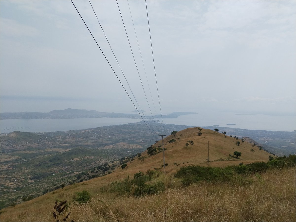 evansokenya's tweet photo. Gembe Hills 📍
Elevation 1800m
Distance 11kms https://t.co/6Q7mZAcXSo